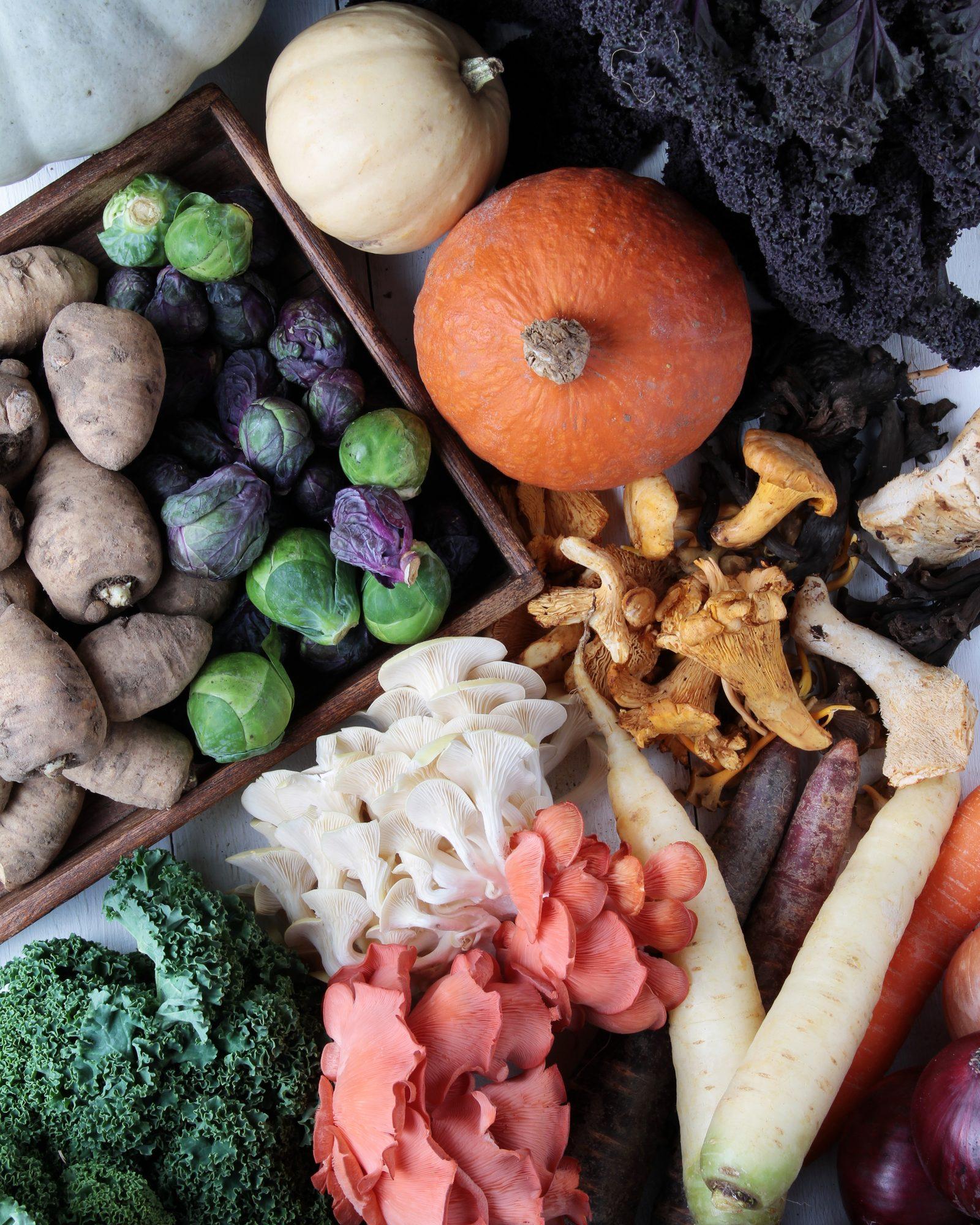 Cairo's July Harvest Delivers Five Easy, Affordable Seasonal Recipes