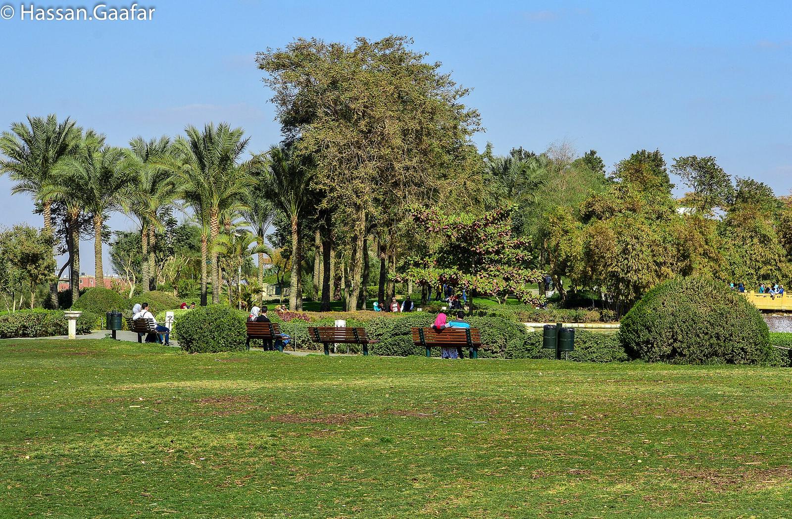 El azhar park panoramio (5)