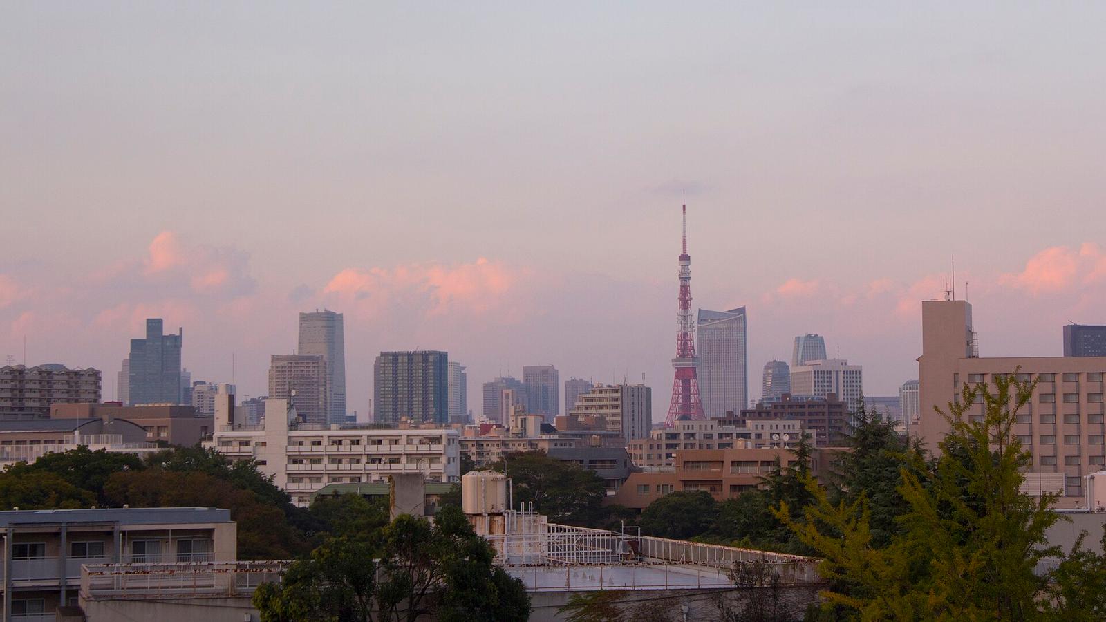 Tokyo afternoon