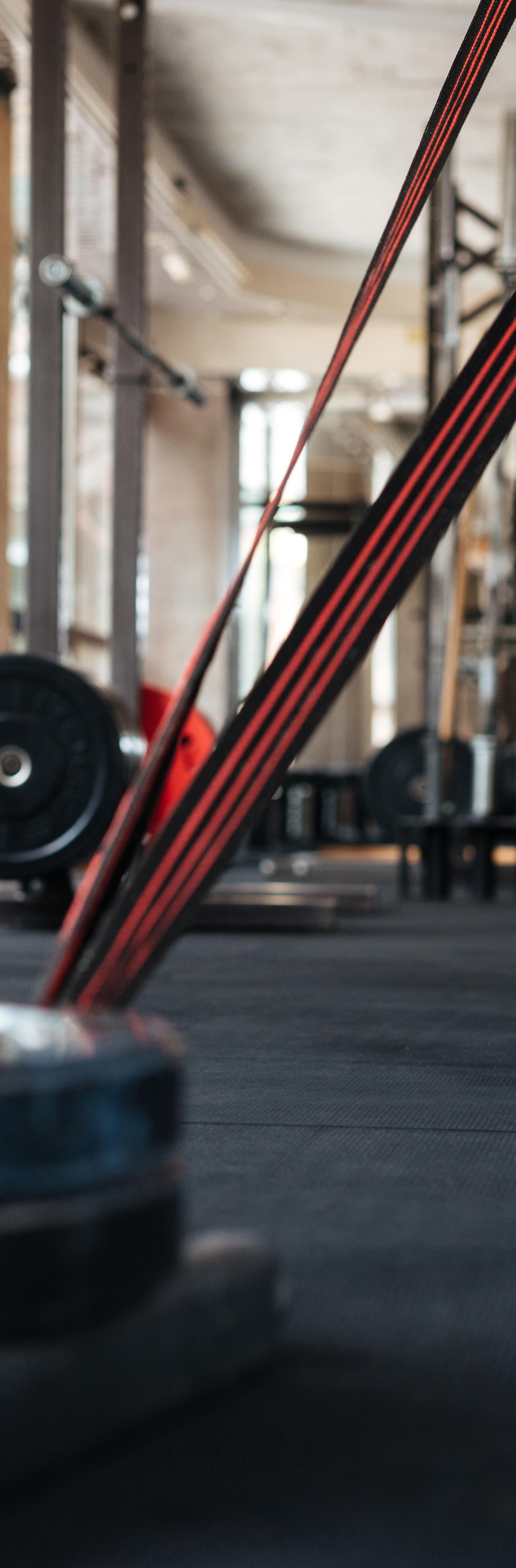 Cairo Residents Embrace Strength Training and Mental Health in 2026