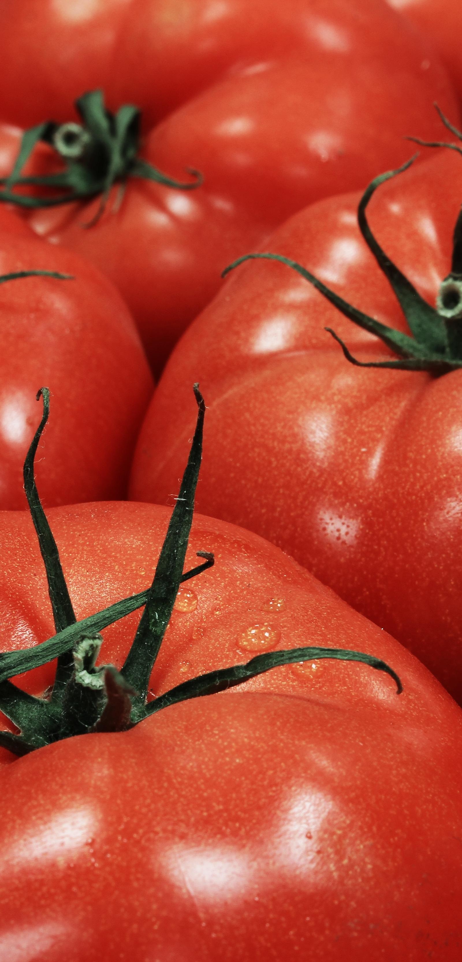 Cairo Chefs Transform July's Fresh Tomatoes Into Five Seasonal Mezze Recipes