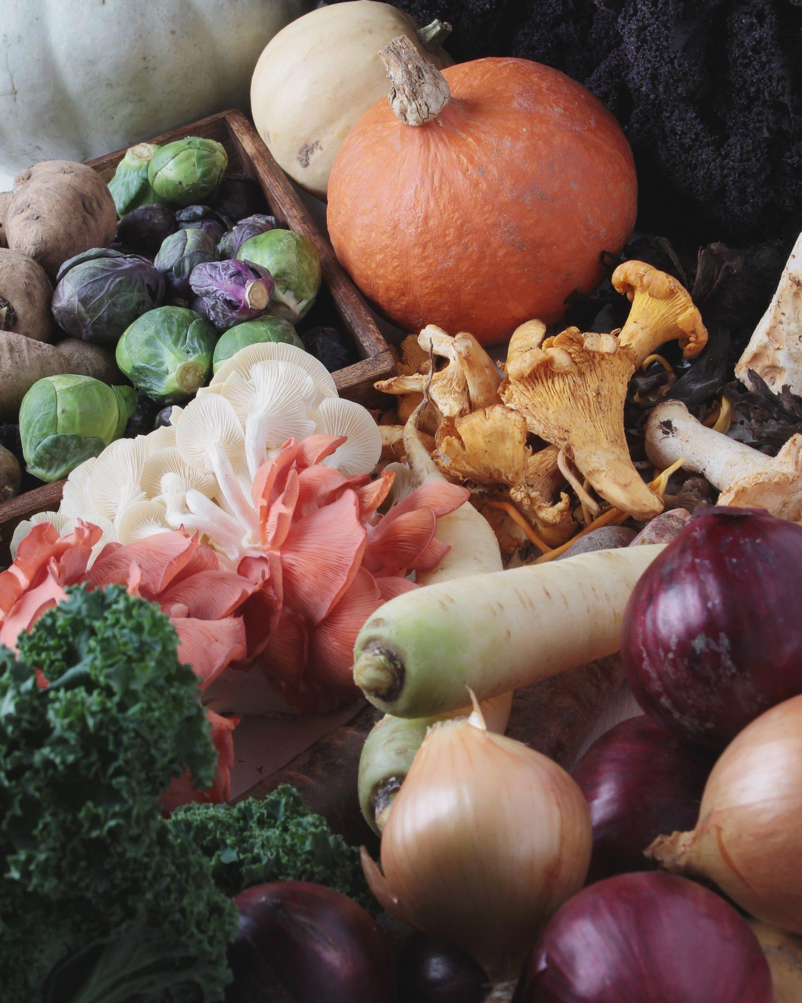 Five Seasonal Recipes Using Local Produce Available Right Now in Cairo's Markets
