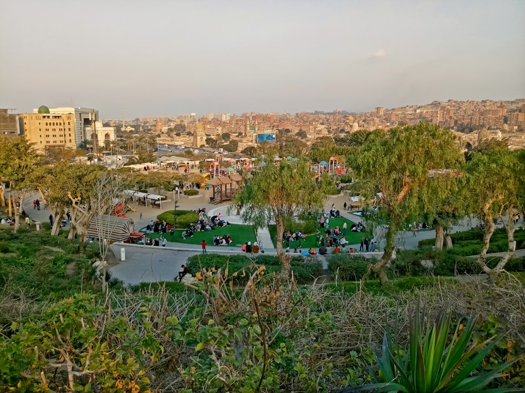 Cairo Residents Reduce Stress: 5 Evidence-Based Wellness Techniques Work Daily