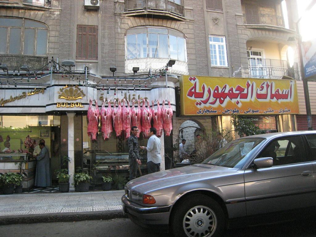 Cairo's Nightlife Peaks at 1 AM Across Zamalek and Downtown
